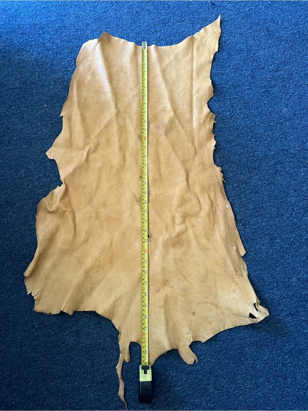 BUCKSKIN LEATHER REAL - Natural Tan Home Accent